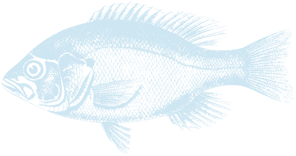 peixe_azclaro